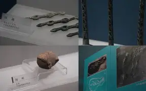 关于僷恬O秅厬潝a邦洼h稽鈴fj哘\溏砹嘹濴K袥q%H?!糡+?S.齪sT?匱/鈱誆??Y﨟?啀藯的信息-九游体育入口